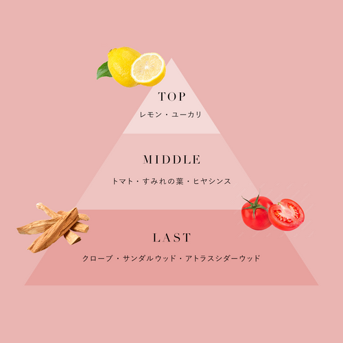 Coccinelle(シトラス×トマト)