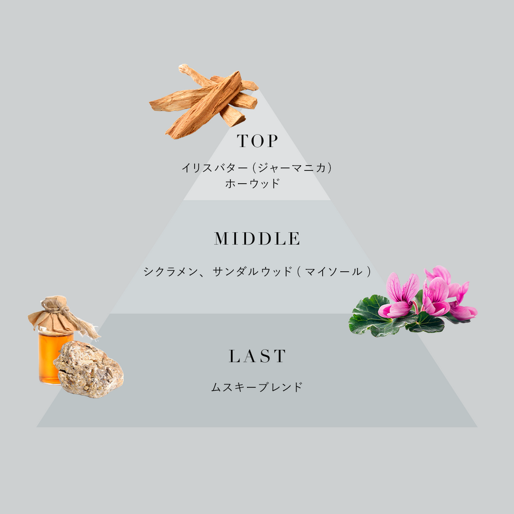 Papillon パピヨン（ウッディ×アイリス）