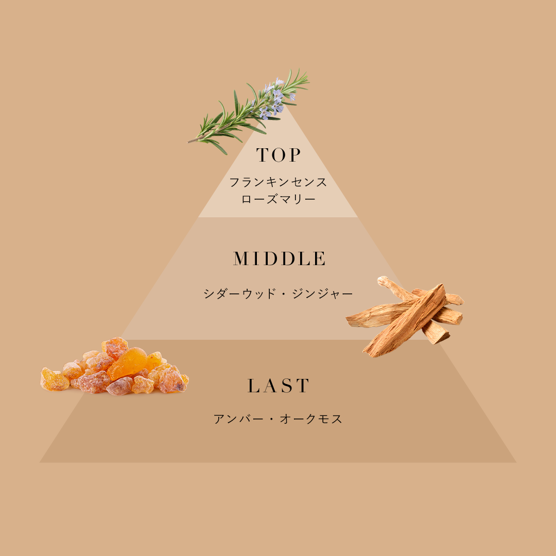 Holy tree(ホーリー・ツリー)