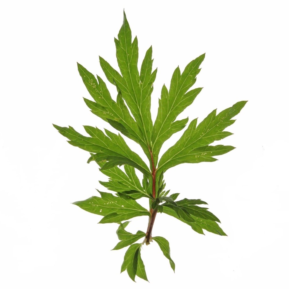 有機ダバナ エッセンシャルオイル