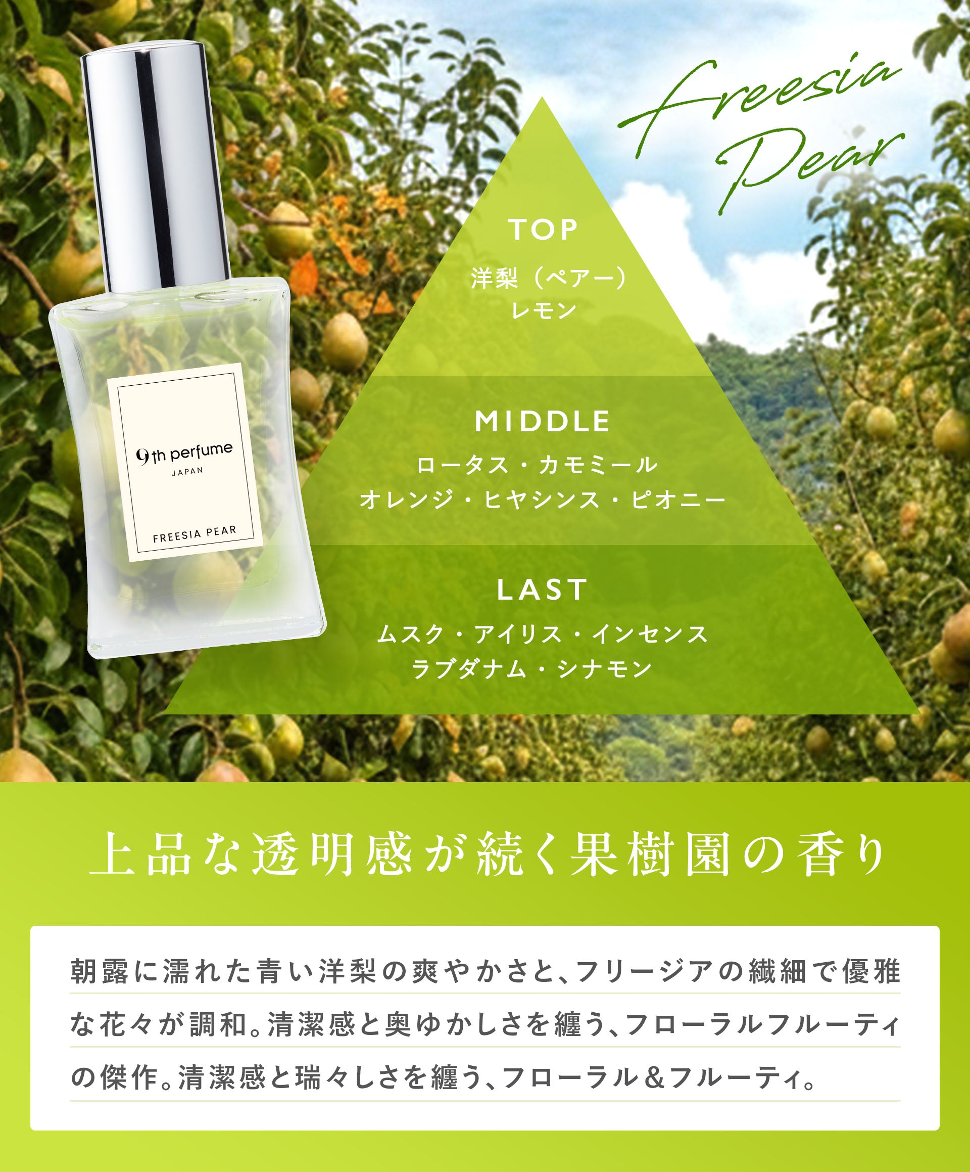 Freesia Pear（フリージアペア　オードパルファン）