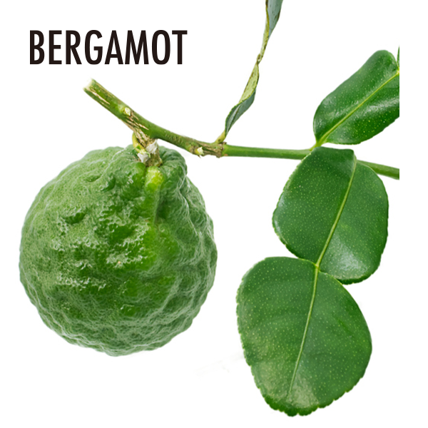ベルガモットエッセンシャルオイル（FCF）