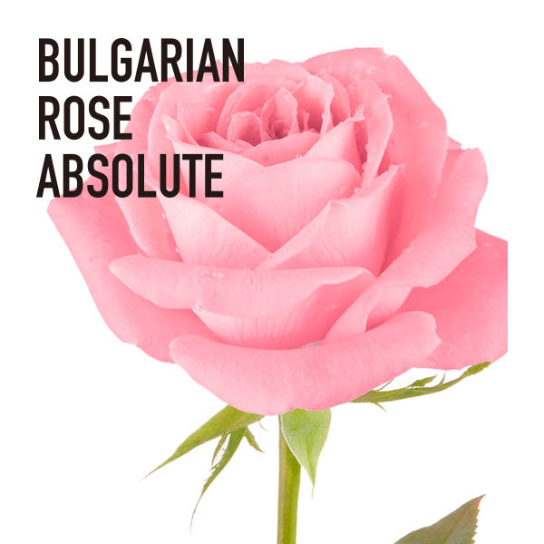 ブルガリアン・ダマスクローズ・アブソリュートオイル